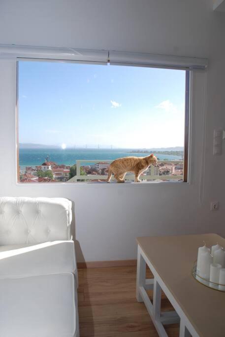 360ᵒ Lepanto Apartment Nafpaktos Buitenkant foto